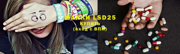 PSILOCYBIN Новокубанск