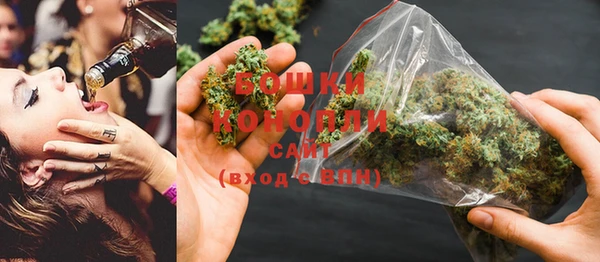 PSILOCYBIN Новокубанск