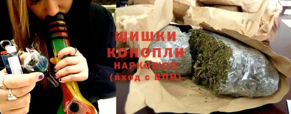 PSILOCYBIN Новокубанск