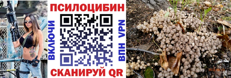 где купить наркоту  Княгинино  кракен вход  Галлюциногенные грибы мицелий 